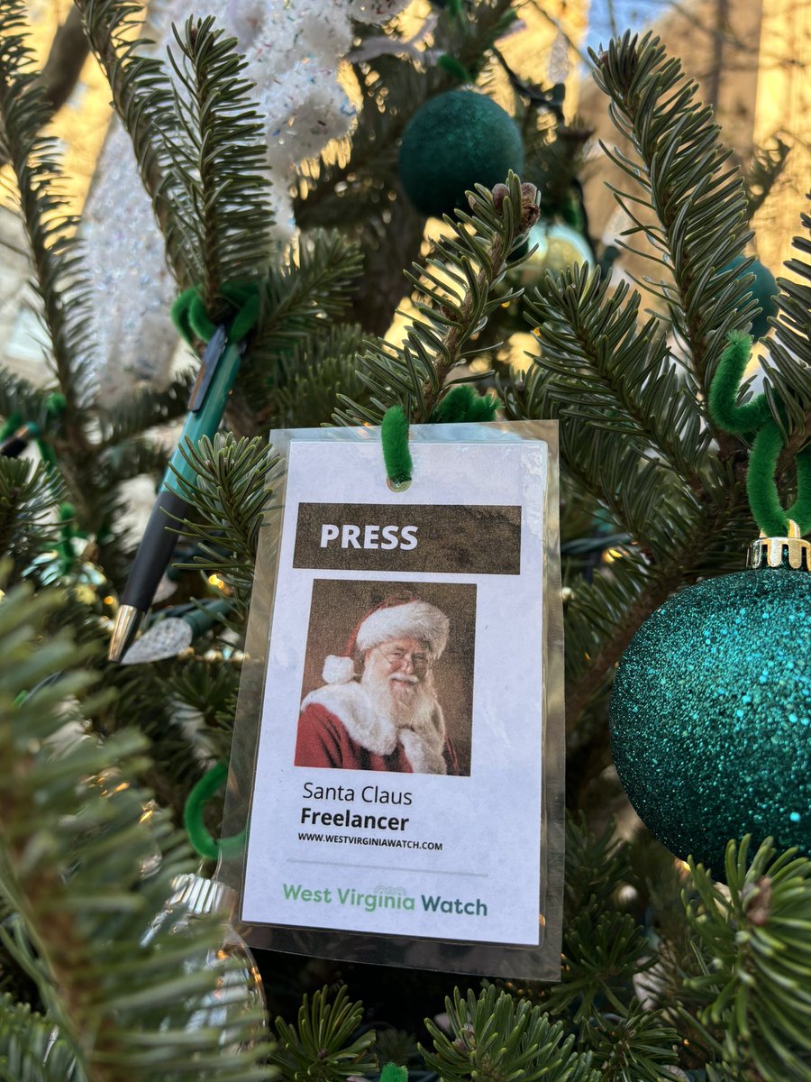 Amelia Knisely tweet media