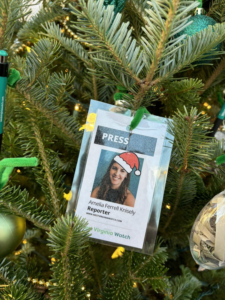 Amelia Knisely tweet media