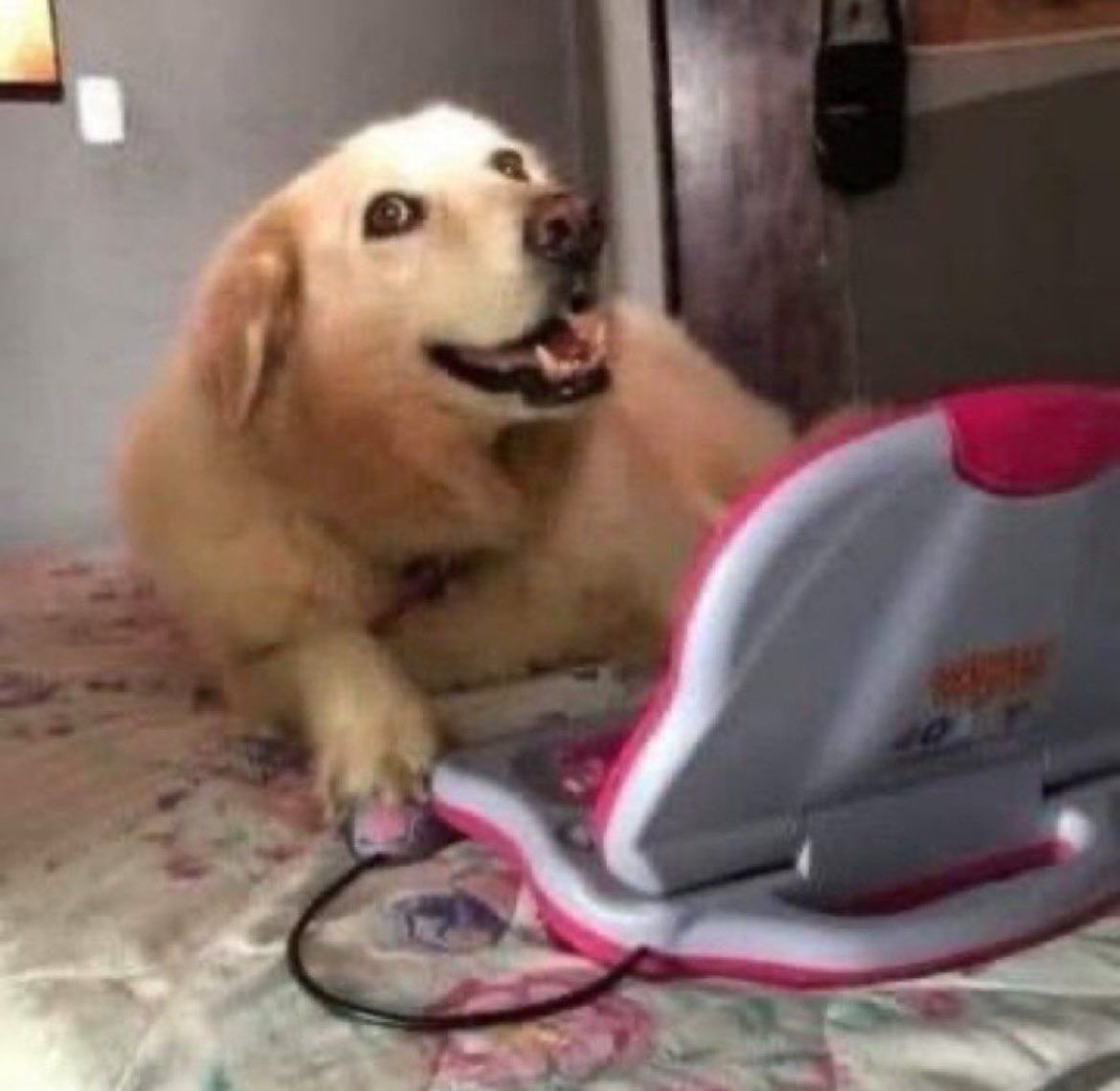 luv2fine's tweet image. nossa mas era fuvest ou prova de proficiência em inglês