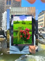 albertodeep's tweet image. 799925💰638995296879227900_55E-Scooter Licht Dunkelheit 🛴💡