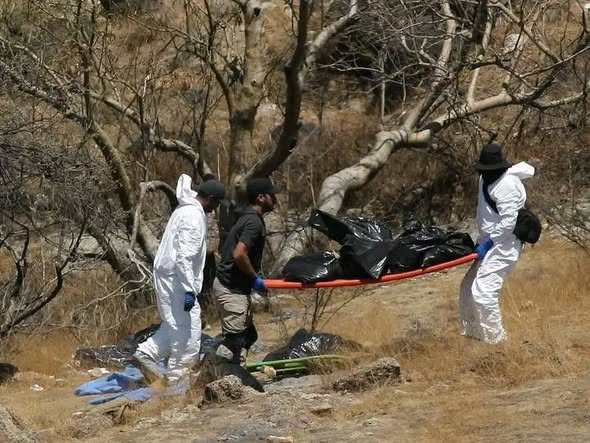 GARCIPAVON's tweet image. Esta es la realidad por la que los jóvenes y millones de mexicanos salieron a protestar: el crimen tiene secuestrado a nuestro país.
Hallan casi 500 bolsas con restos humanos en Jalisco ¡QUINIENTAS!
¿Alguien sabe si los diputados de Morena ya solicitaron la creación de una…