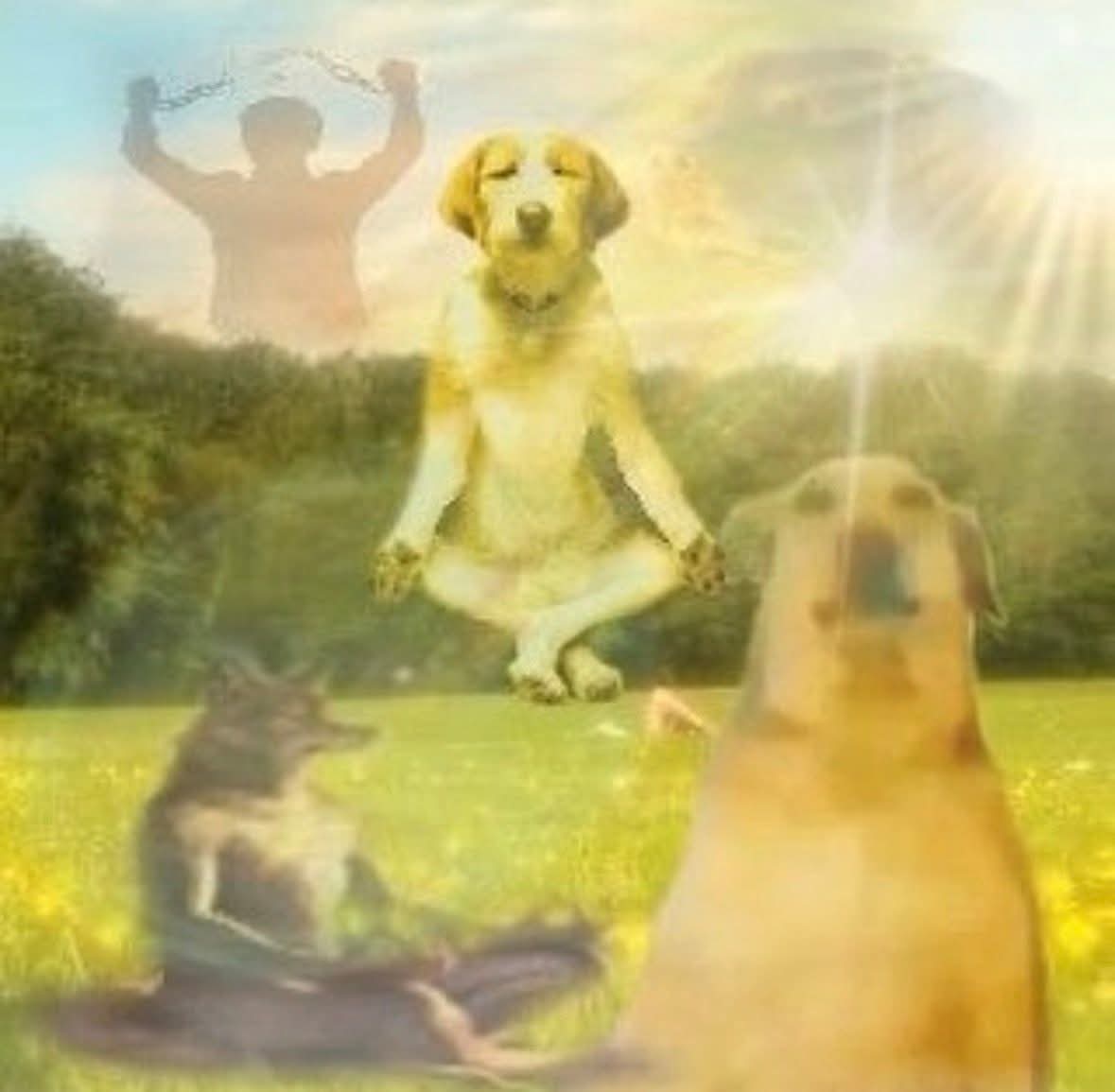 killmyaffairs's tweet image. la vida cuando son vacaciones