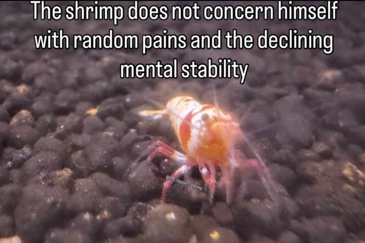 R//yzn 🧲 (@veryeclectic) on Twitter photo 