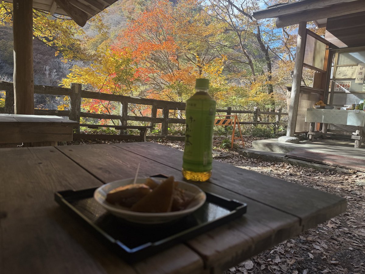 bison2673's tweet photo. #日光散策 
紅葉の見納めしてきました！！ https://t.co/JJh9vg3wB7