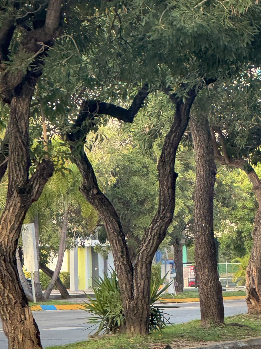 yosoyporquesomo's tweet image. Love is everywhere ♡ ◡̈