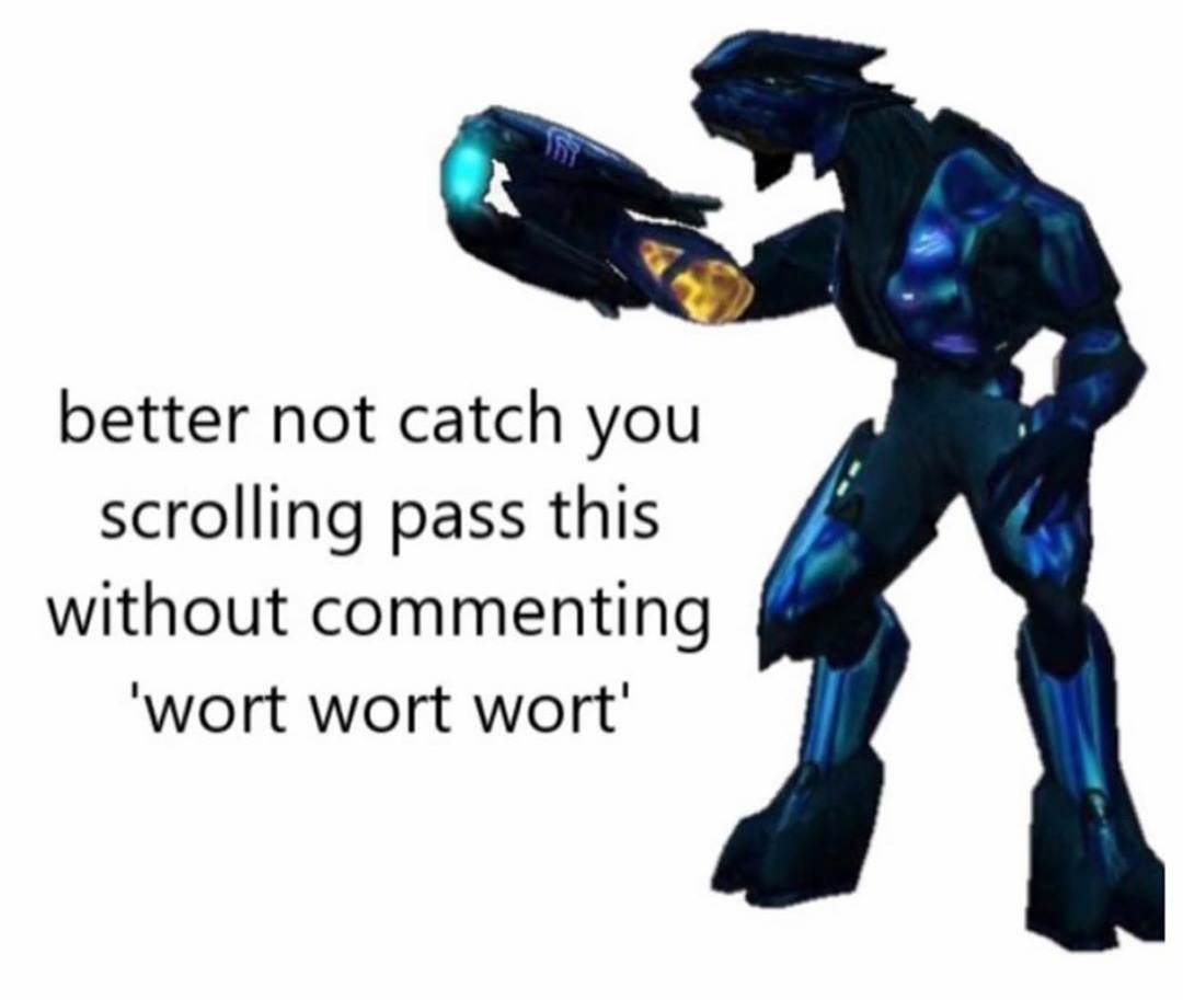 NobleActua🄻 tweet media