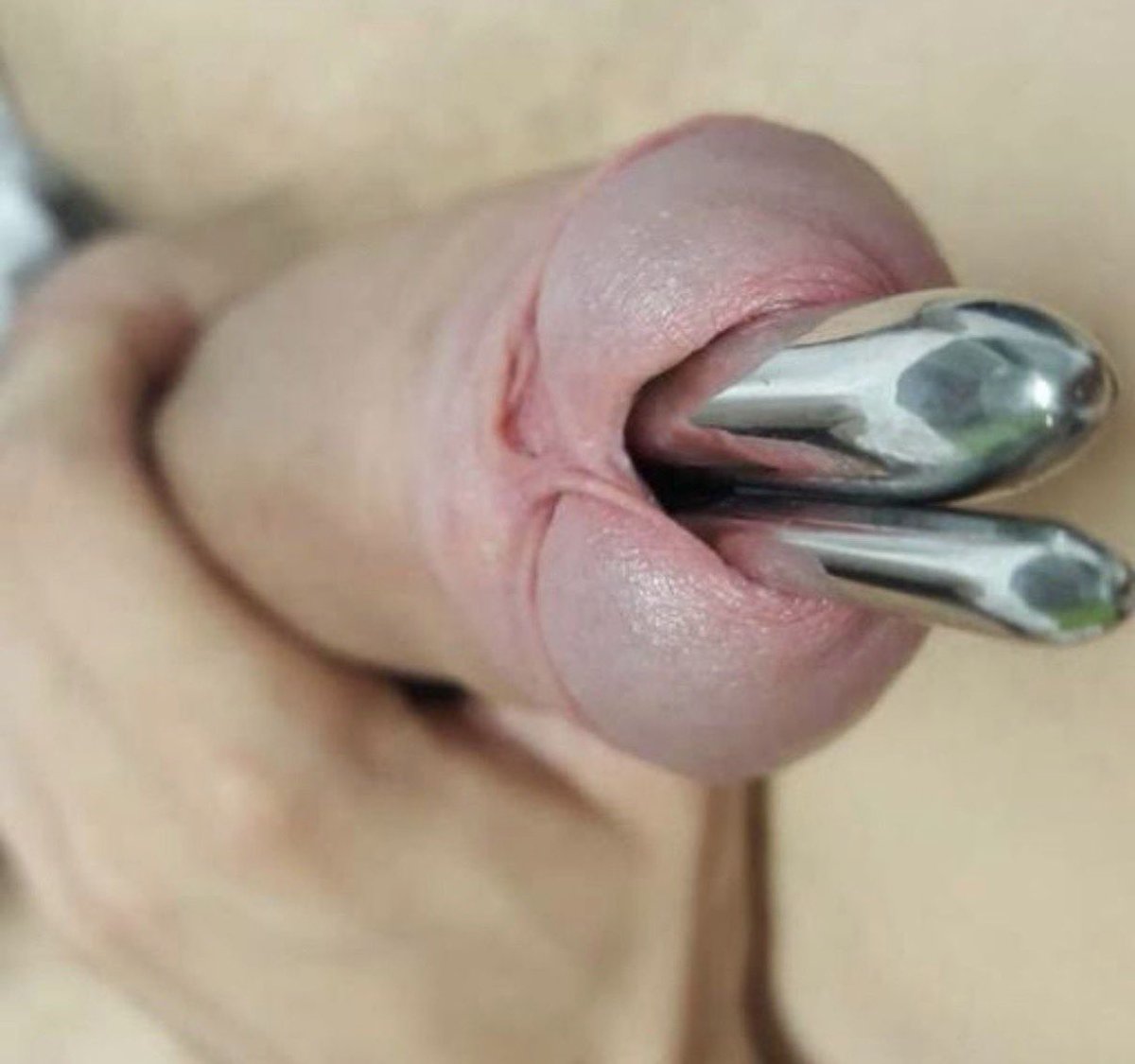 How’s this for a throwback 

#sounding #urethra #peehole #fucking #subincision #meatotomy