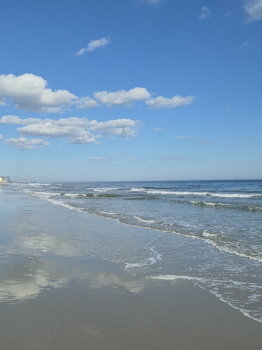 Daniel Williams tweet media