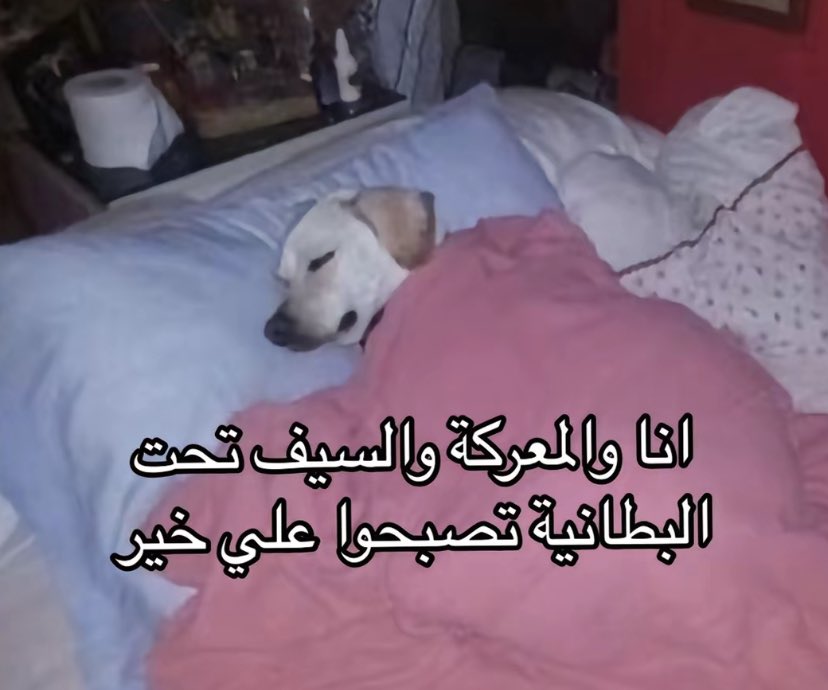 arabmemesss's tweet photo. https://t.co/23dOmHnD1q