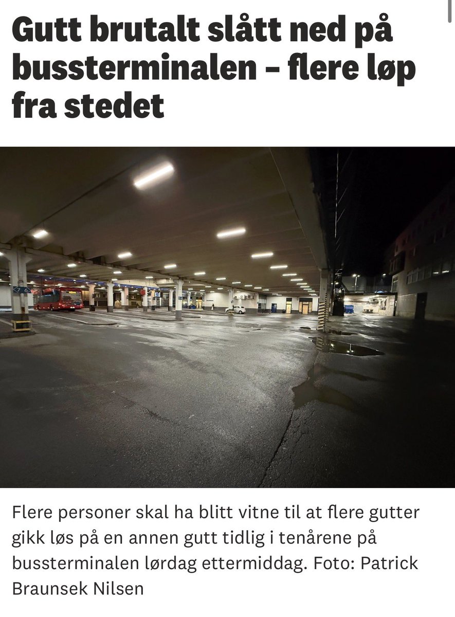 Stig Millehaugen tweet media