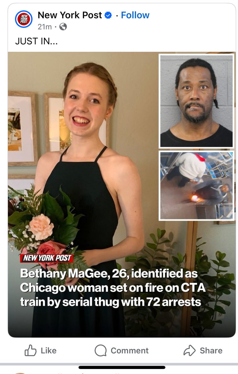 Williamjkelly's tweet image. I was waiting for official confirmation before posting the CTA Blue Line victim&apos;s name and photo. Just like murder victim, Iryna Zarutza, Bethany Macgee is a young white female who did nothing wrong and was violently attacked in the most horrific way by a black repeat offender…