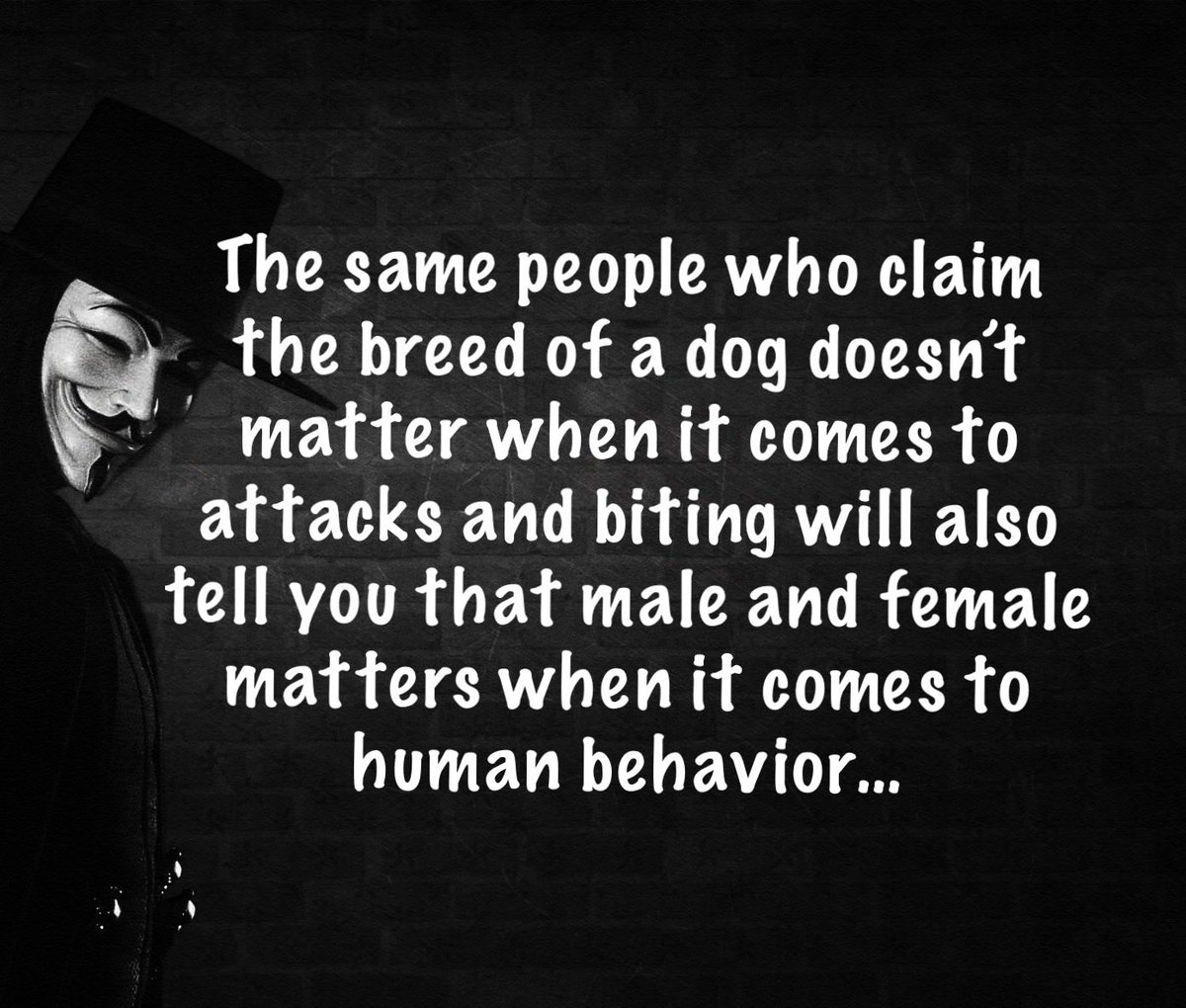 NullusTutela's tweet image. #BreedTypeMatters
#DogAttacks