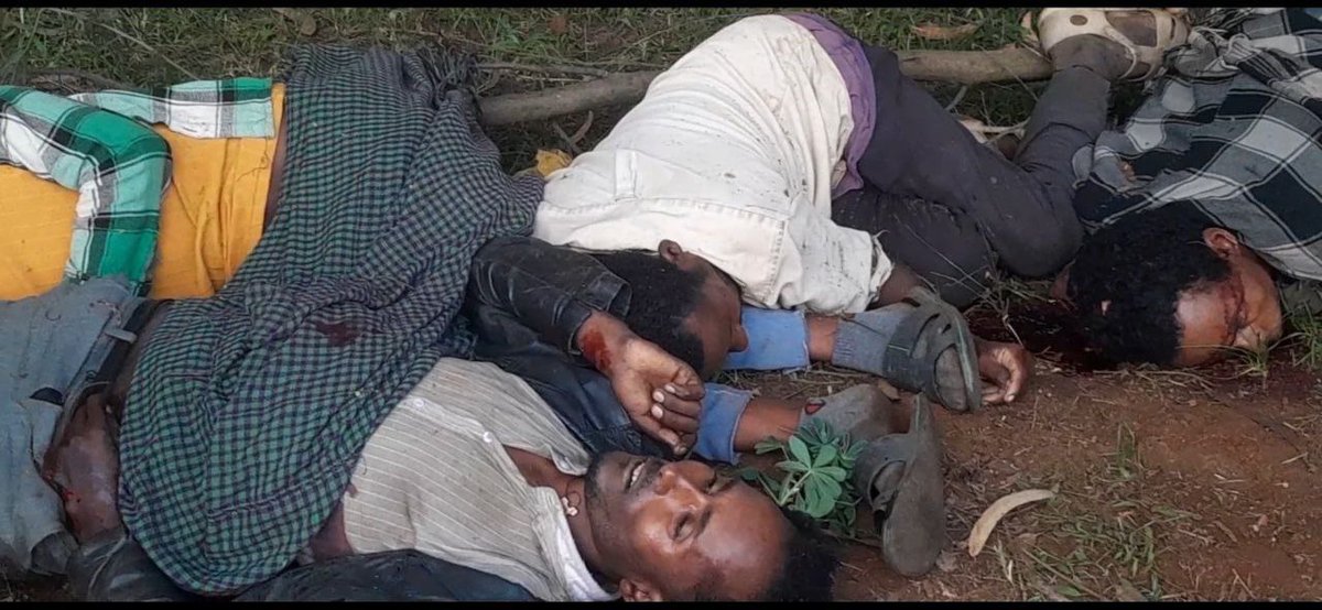 Tcorner10325's tweet photo. Reports from Gojjam, Sekela indicate that 6 civilians have been killed by forces aligned with Abiy Ahmed’s regime. Witnesses describe signs of severe and humiliating abuse.
 #AmharaGenocide #Ethiopia https://t.co/ETsK18kIDi