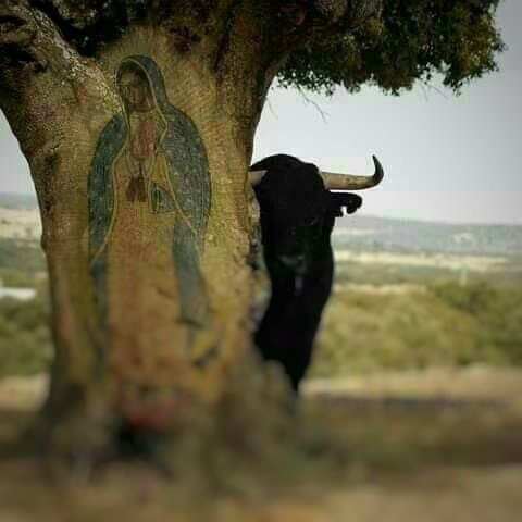 yumcarton's tweet image. 