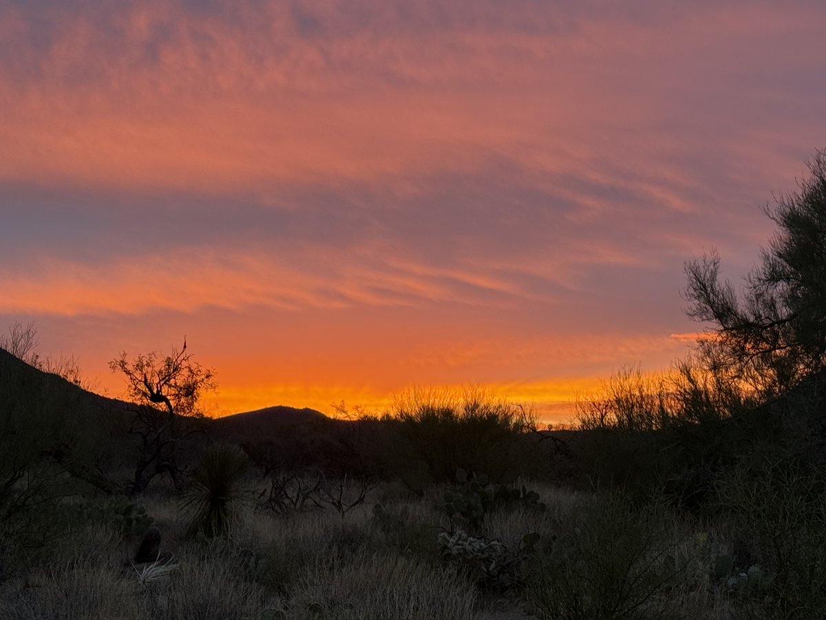 <a href="/MeghanMcCain/">Meghan McCain</a> There's a sunset in the desert waiting for you, AZ will be here, you can bring the new little guy ❣️