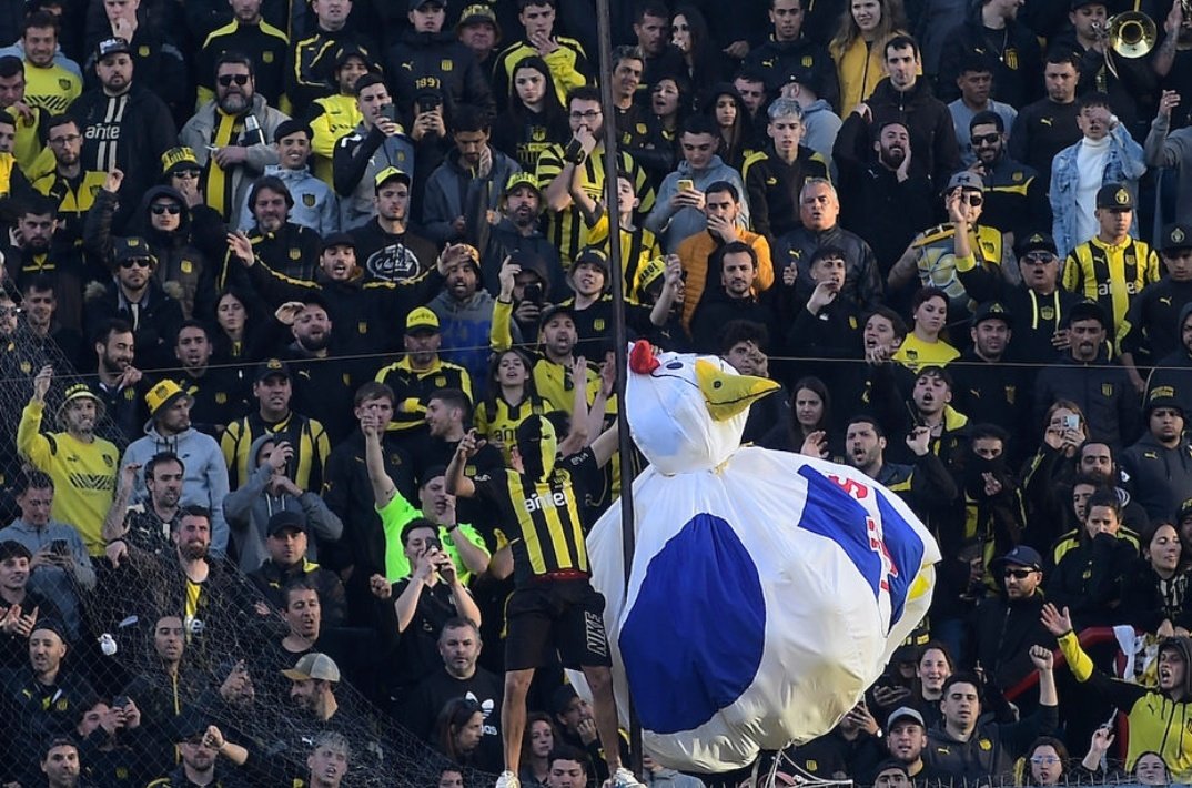 DEN LA VUELTA EN EL GALLINERO.