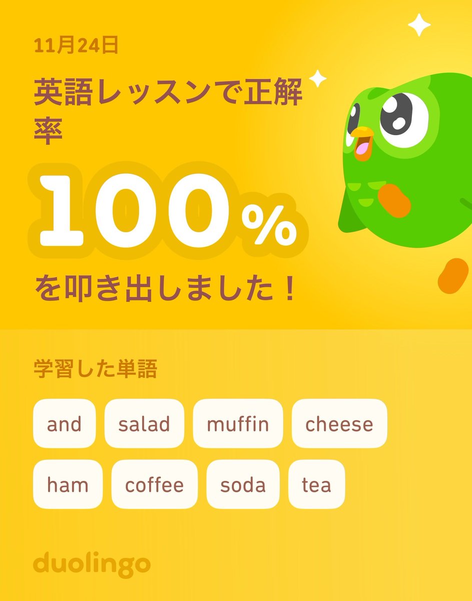 Duolingoで英語を学習中だよ！ゲーム感覚で気軽にできるDuolingoで一緒に学びませんか？