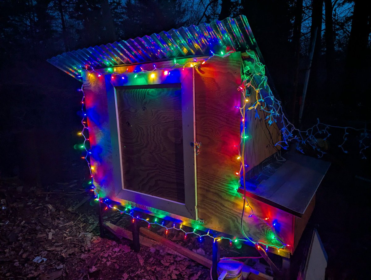 badbake_offgrid's tweet image. Christmas Chicken Coop &amp;amp; Run 🎄