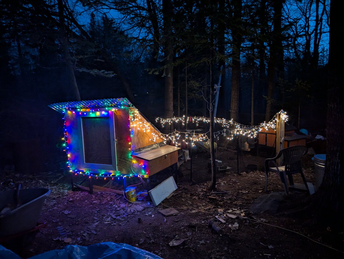 badbake_offgrid's tweet image. Christmas Chicken Coop &amp;amp; Run 🎄