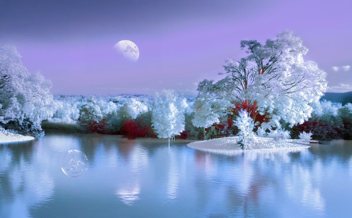 BBBDDD891's tweet image. #Infrared 🌙💫