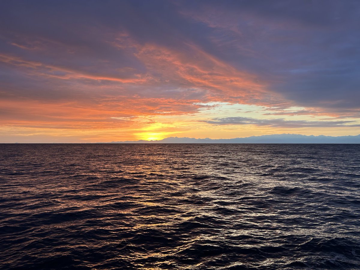 いい朝日を見に来た
釣りに来たわけでは無い
#釣れない