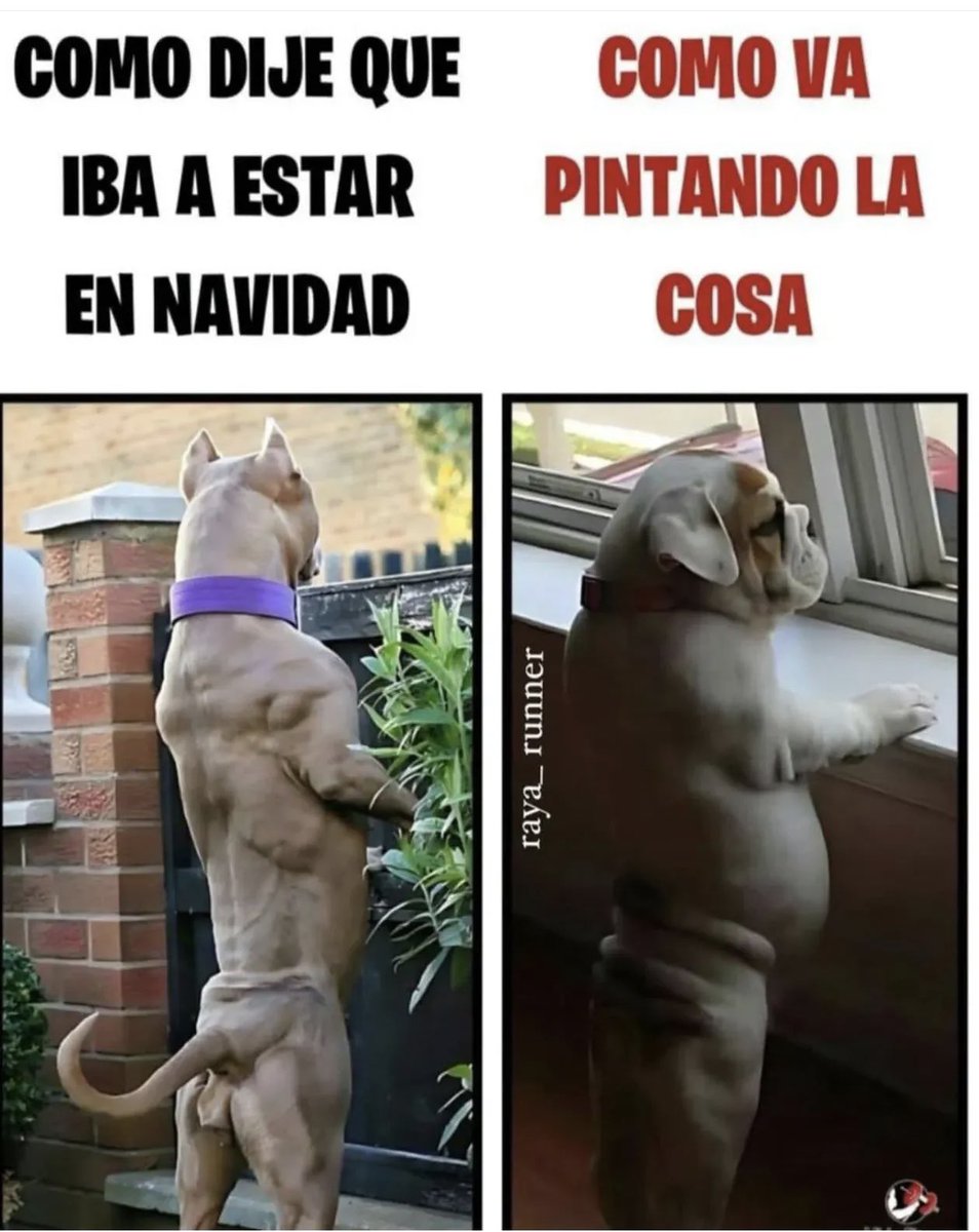 carloshigarcia's tweet image. Todos