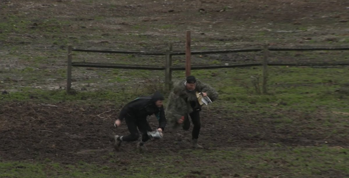 Alex Shaw tweet media