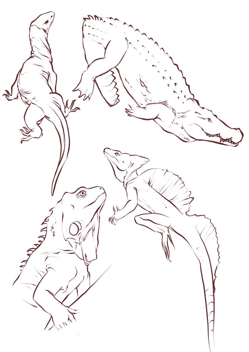 atominkk's tweet image. Reptils ohh yeahh