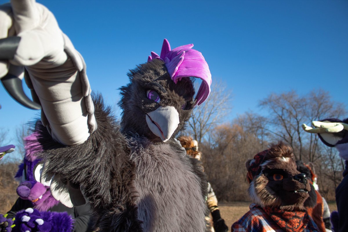First time public suiting was a ton of fun at the <a href="/MNFurs/">MN Furs</a>  Fursuit romp yesterday! I love being a birdie💜