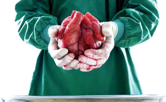FuerzaVida's tweet photo. Enhorabuena a @salvadostv por la emisión de su programa sobre la @ONT_esp desde el @vallhebron
España batió un récord de trasplantes en 2024, alcanzando las 6.464 intervenciones, consolidando su liderazgo mundial por 33 años consecutivos. No importa status social, religión o raza https://t.co/XHbR74ZVSy