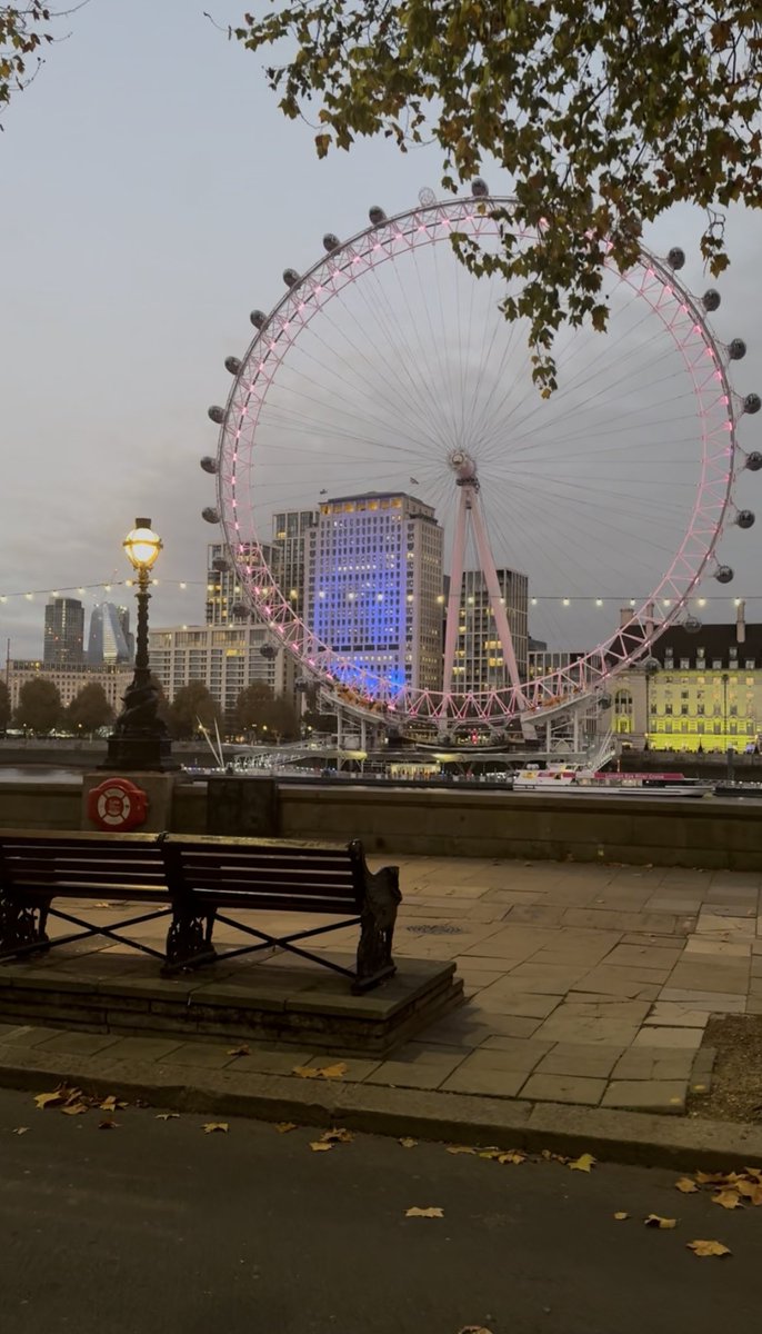 DrAlsubei's tweet image. Had an excellent learning experience at PCR London Valves 2025! @PCRonline continues to bring science to life with outstanding expertise .! 

And of course, being in London made it even more special 🇬🇧