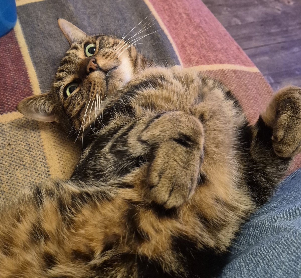 "What do you mean 'you've eaten all the roast chicken'?"