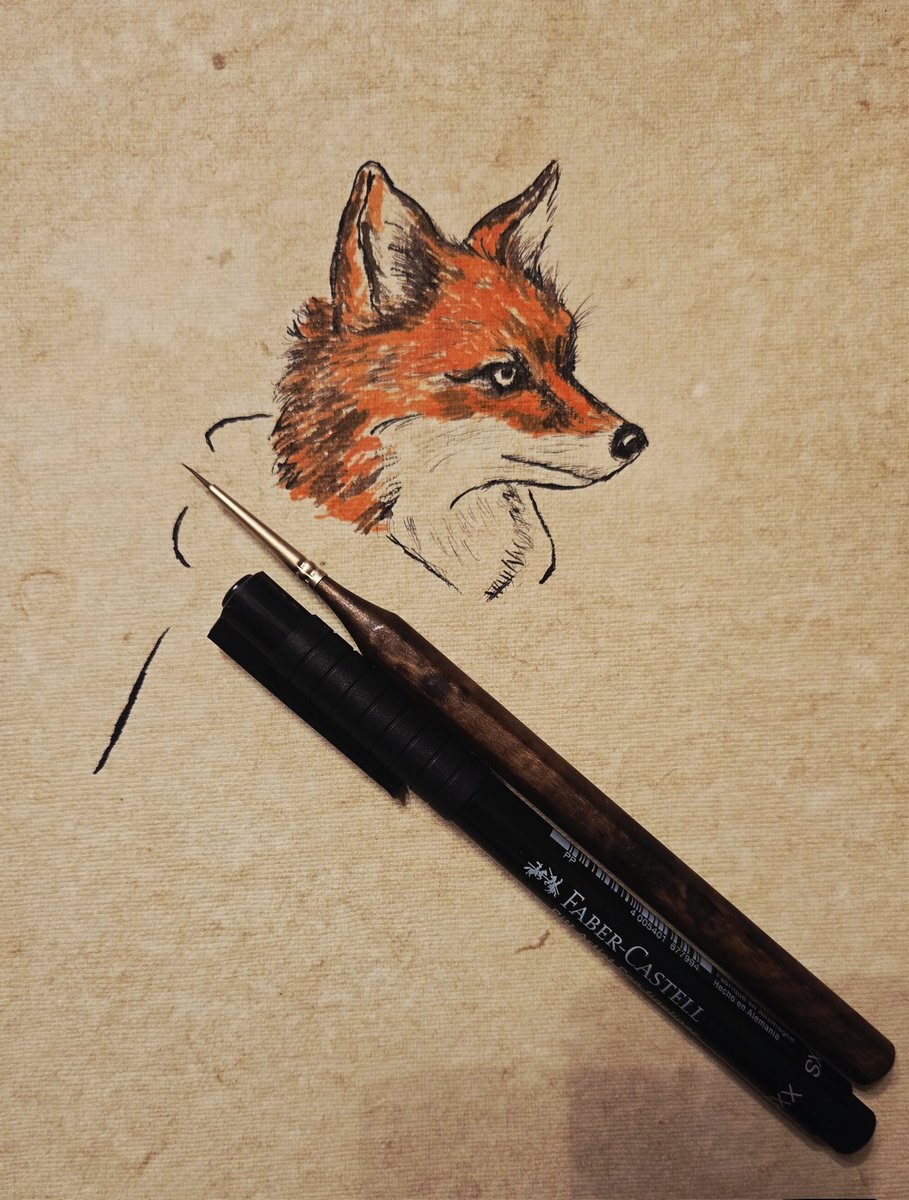 Ang_USL's tweet image. Slow progress, but progress nonetheless. 🦊