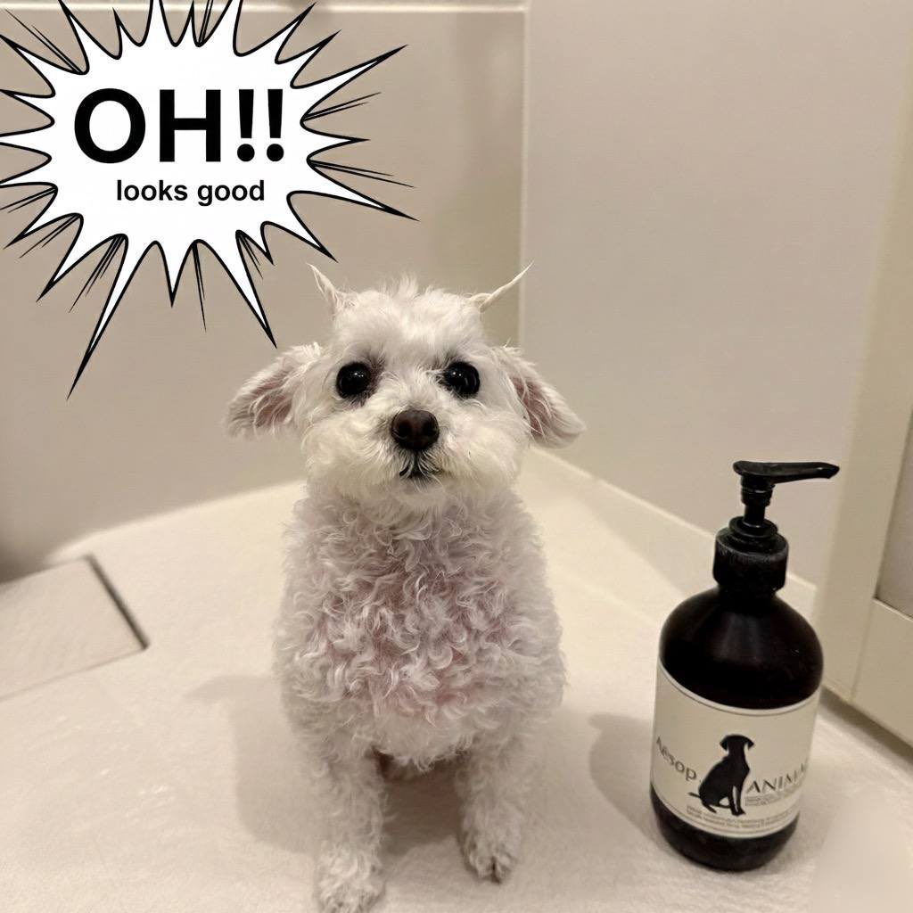 Genesis_Wizz's tweet image. $GRACE looks good 

Criminal candle soon? 

DdGNpQqUiVMu6EnE8HeEfDDSiLQZQratbtxtGAFfpump