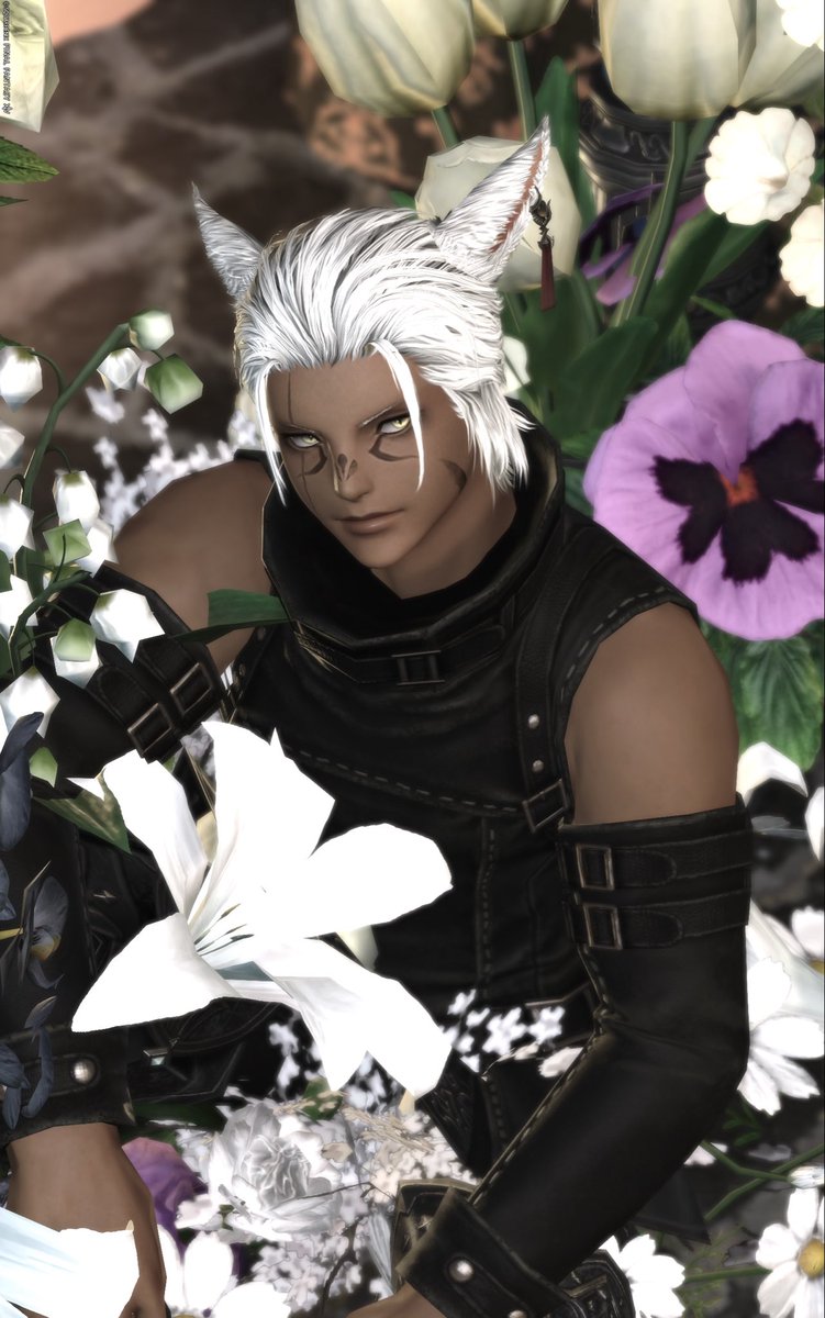 おはや🐱
人と旅行の話すると旅に出たくなるな〜✈️
新しい面白い場所も教えてもらったしリストに加えとこう🥳ちょっとずつ行きたい！
 #bitter_room_FF14 #anineco 
#おはミコ