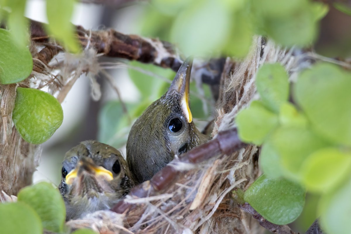 stew_ab's tweet image. Heads up