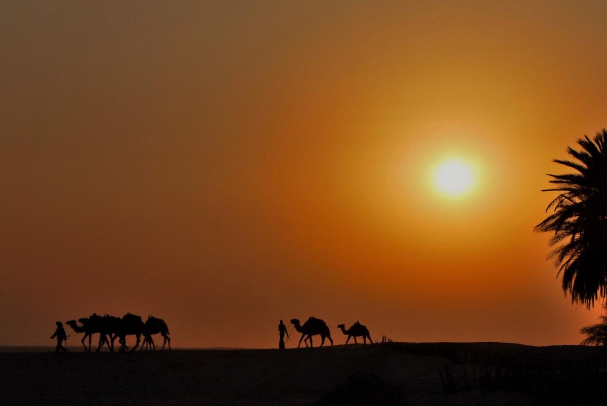 #رسالة_إلى_الشعوبيين .
مكة والمدينة عند البدو
مهبط الوحي عند البدو
نفط العالم كله عند البدو 
اكبر حكومة إلكترونية في العالم عند البدو
إكسبو 2030 عند البدو
كأس العالم 2034 عند البدو
اقوى طائرة حربية F35 عند البدو
افضل شركة طيران في العالم عند البدو
الذكاء الاصطناعي عند البدو
اطول