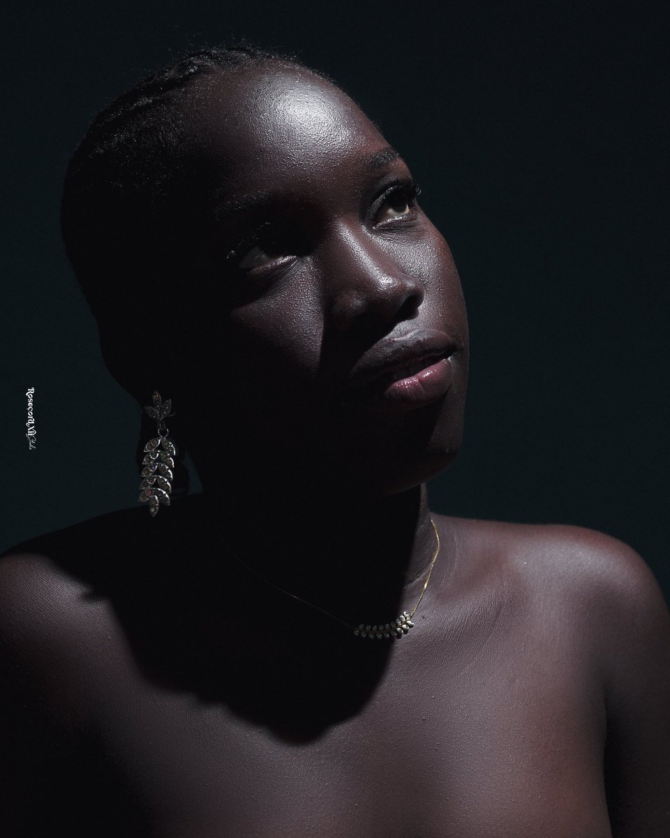 Rosecord XII🧠🌸📸 tweet media