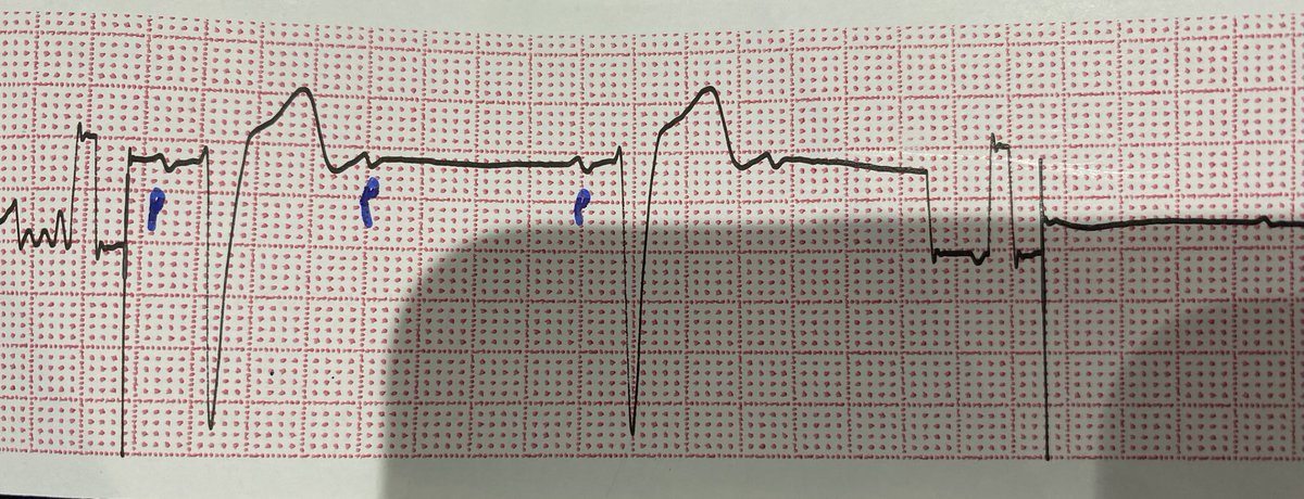 Hany Ragy tweet media