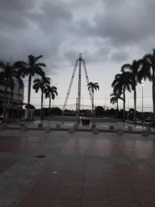 LTisgo's tweet image. 