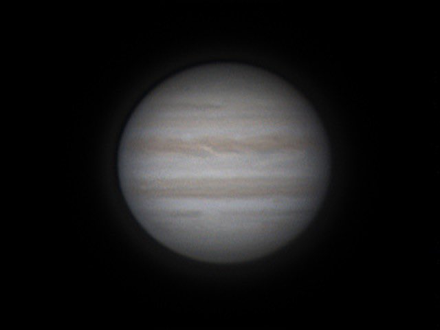 cha_sen's tweet photo. 今朝の木星。
空の高いところにミューロン180Cを向けているせいか、ピント調整で像が揺れて苦労しました。後のウェーブレット処理では、薄く模様が出るパラメータを選択しました。
撮影：2025年11月24日 4時32分
μ-180C+ ASI224MC + 2.5倍バロー
#天体写真 #木星 #Mewlon180C #惑星写真 #Jupiter https://t.co/PCXSi6CYWt