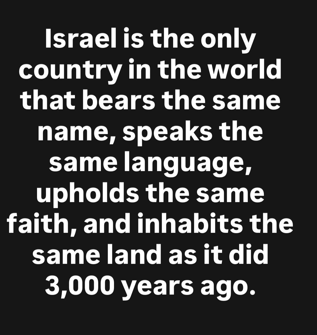 VividProwess's tweet image. 