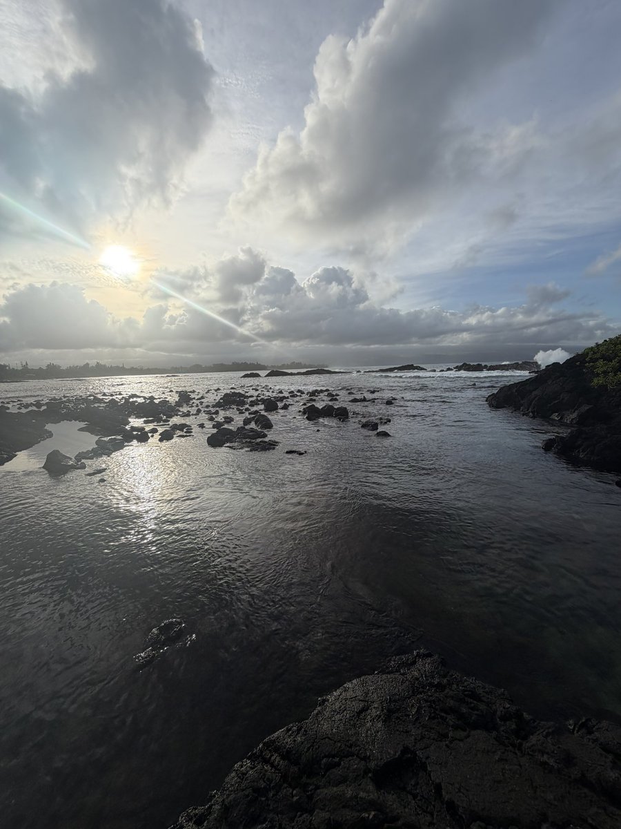 Joe Thompson (they/them) tweet media