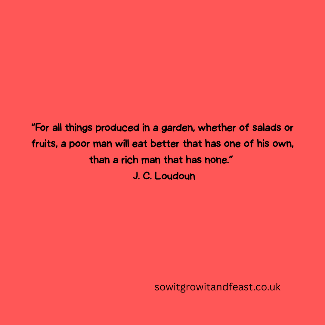 SowGrowFeast's tweet image. J. C. Loudon reminds us that true wealth is homegrown:
a salad picked fresh, fruit warm from the sun, food that nourishes deeply.
sowitgrowitandfeast.co.uk 🌿✨
#growyourown #growyourownfood #beinggardening #gardengifts #christmasgifts #seedsubscriptions #gardeningsubscriptions