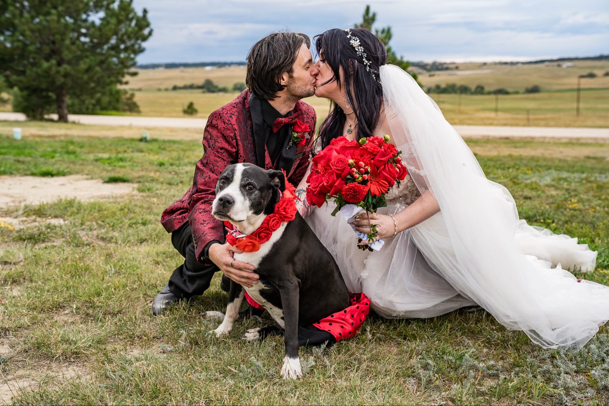 kuhtie_'s tweet photo. snowpea was the best flower girl ever https://t.co/RCLlInFuYh