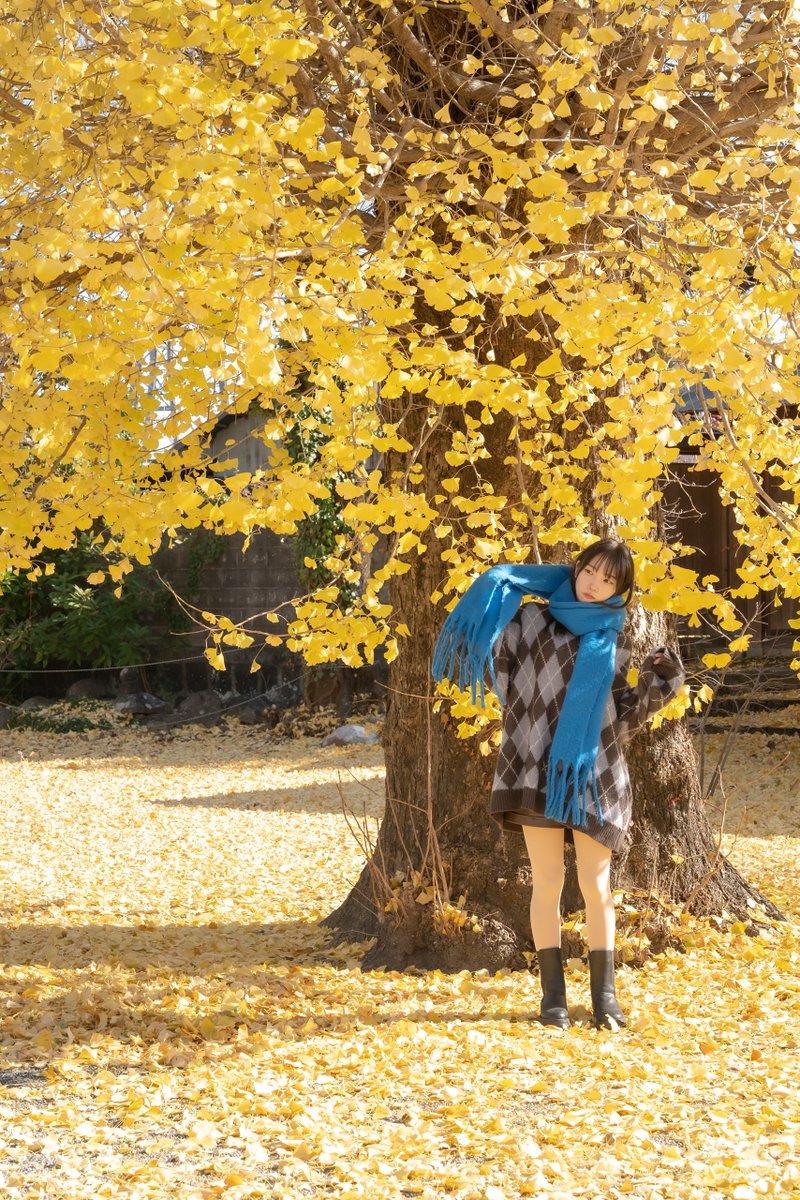 #Kanagawa  
#portrait
#portraitphotography

Model: mou

<a href="/mou_nephoto/">mou</a>