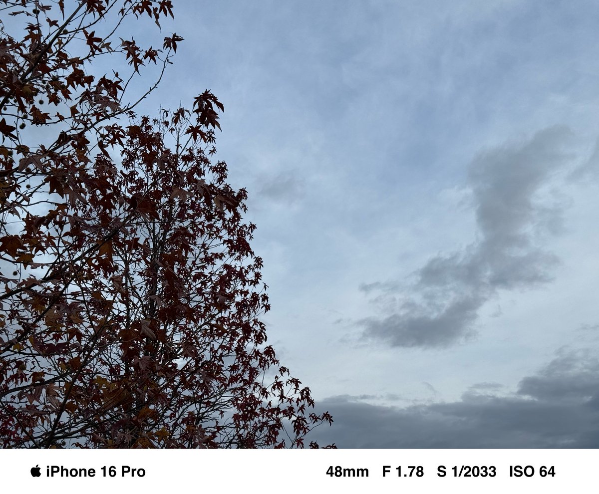 shig_szk's tweet image. #イマソラ #空 #iPhone16Pro #sky