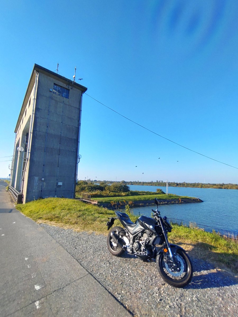 るびぃ08 tweet media