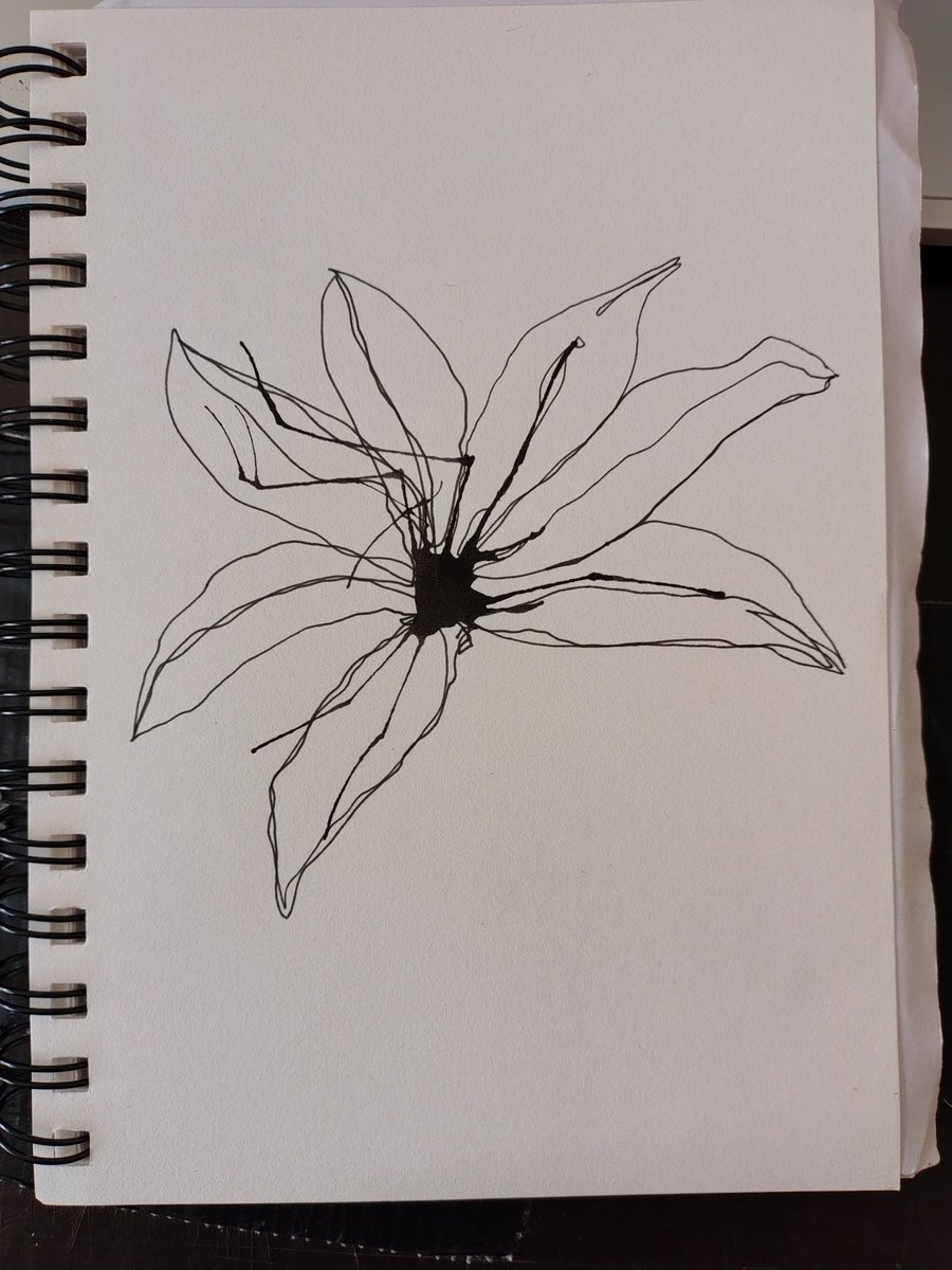 RevHappiness's tweet image. Remember blowing ink spots all over the page and getting headspins?
Yeah, did that on the weekend and used the shape as the basis for a #ContinuousLineDrawing
And yes, lilies only have 5 petals, not 6 (artistic licence, ok)
Ink, felt pen and coloured pencil on A5
#TheDrumAndPage