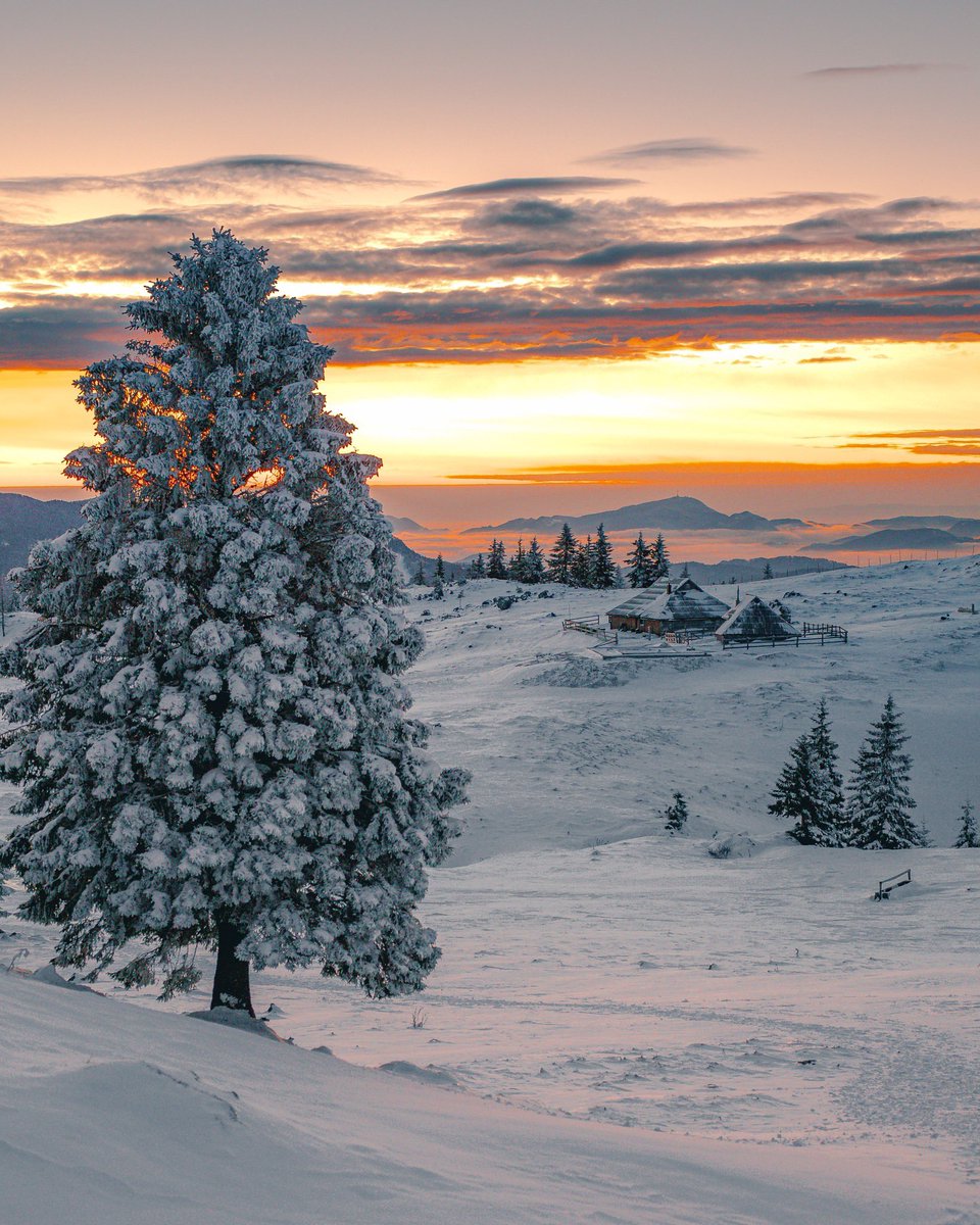 ExploringSlo's tweet image. When Velika Planina turns all white 😍😍😍
Photos by 📸 @rok.leben